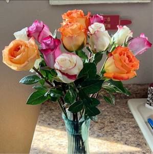 Meet your Posher, Robin